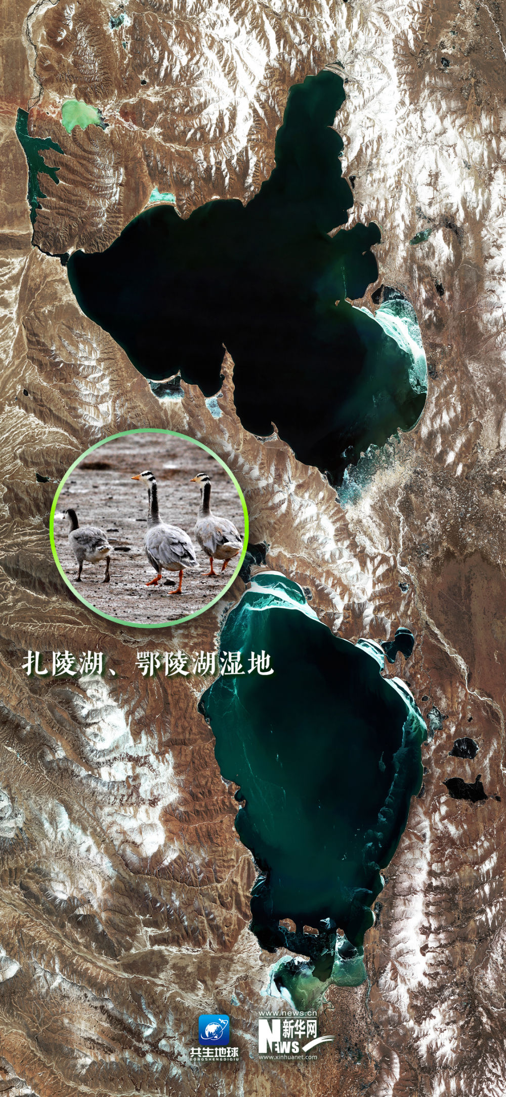 
成都华西医院黄牛代挂号电话票贩子号贩子网上预约挂号,住院检查加快,卫星“瞰”湿地，颜值与实力并存