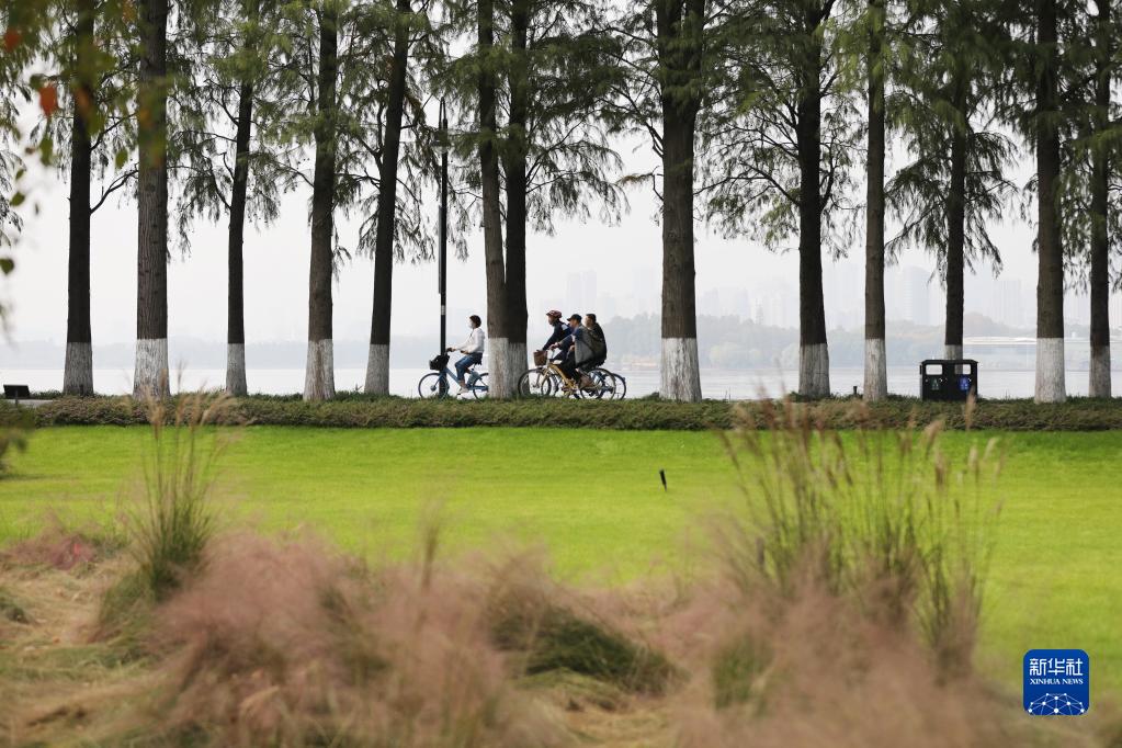 
广州各大医院黄牛代挂号电话票贩子号贩子网上预约挂号,住院检查加快,特稿：从湿地之美见证中国生态“密码”启迪世界