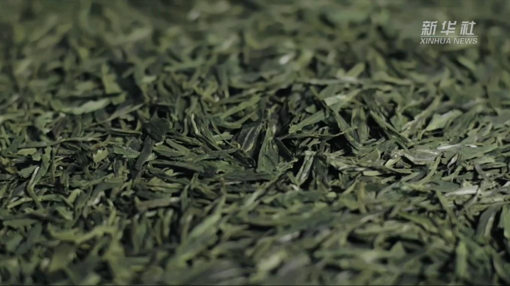 
上海儿童医院黄牛代挂号电话票贩子号贩子网上预约挂号,住院检查加快,大美非遗丨茶香何出？探访西湖龙井茶人