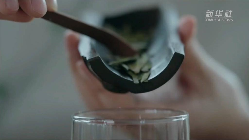 
上海儿童医院黄牛代挂号电话票贩子号贩子网上预约挂号,住院检查加快,大美非遗丨茶香何出？探访西湖龙井茶人