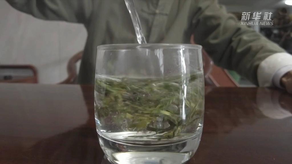 
上海儿童医院黄牛代挂号电话票贩子号贩子网上预约挂号,住院检查加快,大美非遗丨茶香何出？探访西湖龙井茶人