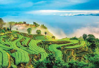 
西安西京医院黄牛代挂号电话票贩子号贩子网上预约挂号,住院检查加快,松阳的契约（行天下）