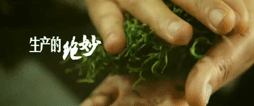 
北京301医院黄牛代挂号电话票贩子号贩子网上预约挂号,住院检查加快,畅谈｜这就是中国茶