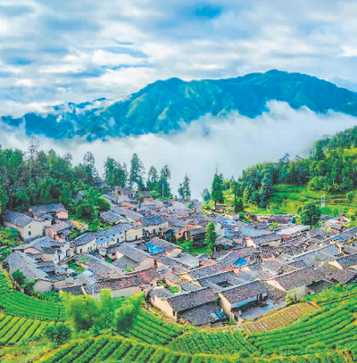 
西安西京医院黄牛代挂号电话票贩子号贩子网上预约挂号,住院检查加快,松阳的契约（行天下）