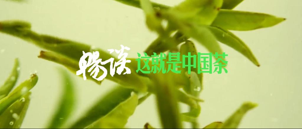 
北京301医院黄牛代挂号电话票贩子号贩子网上预约挂号,住院检查加快,畅谈｜这就是中国茶