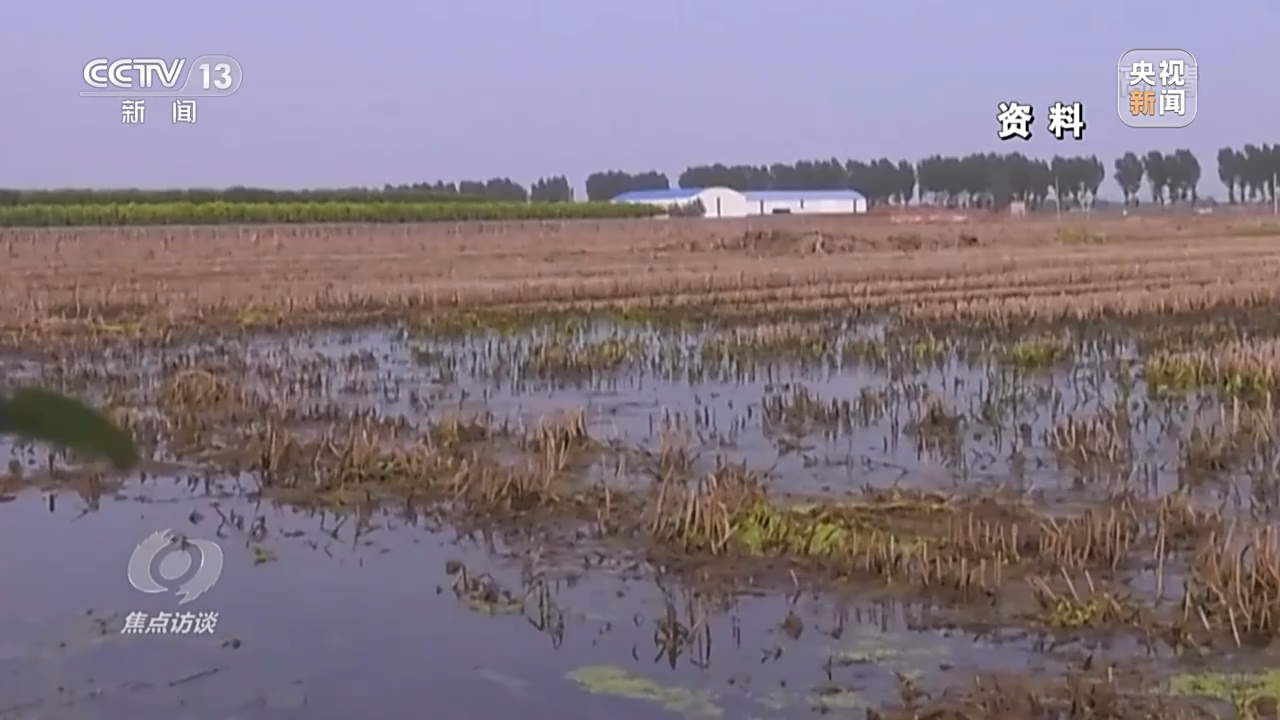 
杭州市七医院黄牛代挂号电话票贩子号贩子网上预约挂号,住院检查加快,焦点访谈丨拼出来的丰收年