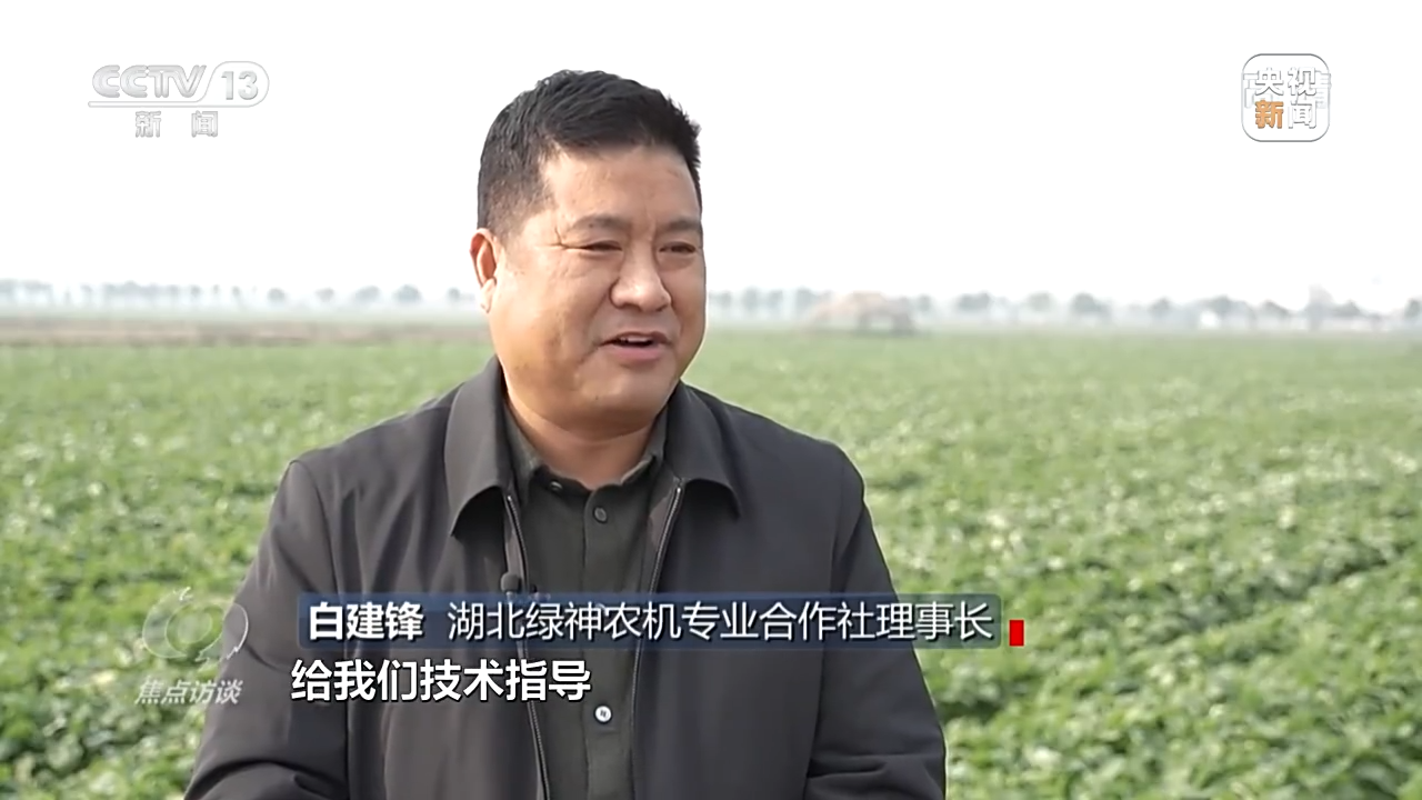 
杭州市七医院黄牛代挂号电话票贩子号贩子网上预约挂号,住院检查加快,焦点访谈丨拼出来的丰收年