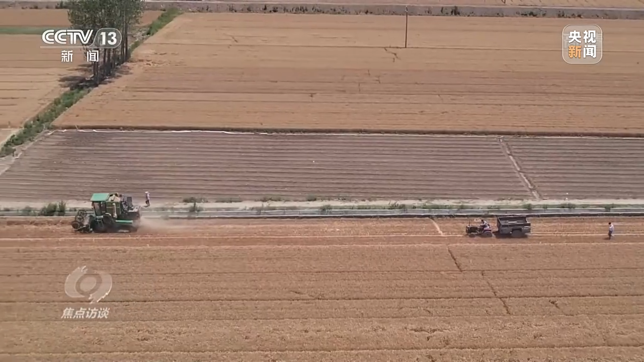 
杭州市七医院黄牛代挂号电话票贩子号贩子网上预约挂号,住院检查加快,焦点访谈丨拼出来的丰收年