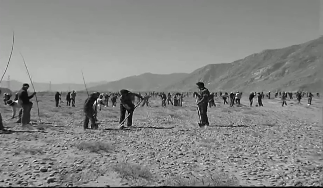 
首都医科大学附属北京朝阳医院黄牛代挂号电话票贩子号贩子网上预约挂号,住院检查加快,“沙棘奶奶”桑旦和众人栽下的深山树林！