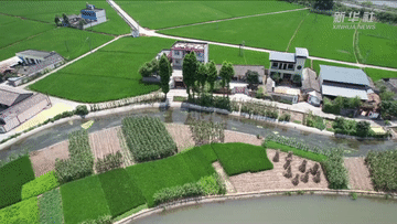 上海各大医院黄牛代挂号电话票贩子号贩子网上预约挂号,住院检查加快,微视频|走好高质量发展之路