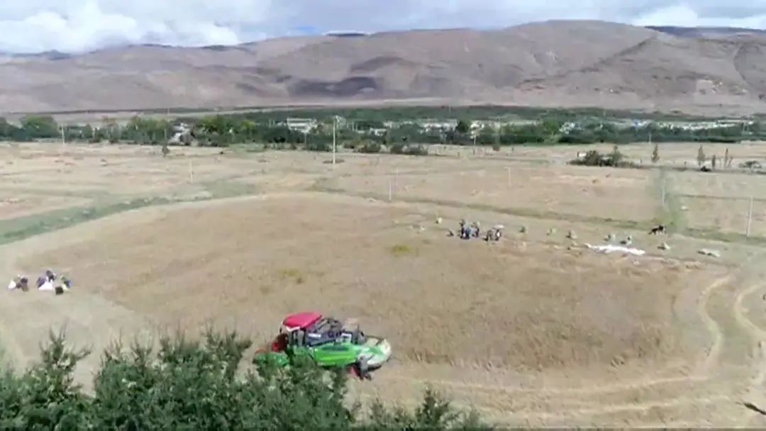 
首都医科大学附属北京朝阳医院黄牛代挂号电话票贩子号贩子网上预约挂号,住院检查加快,“沙棘奶奶”桑旦和众人栽下的深山树林！