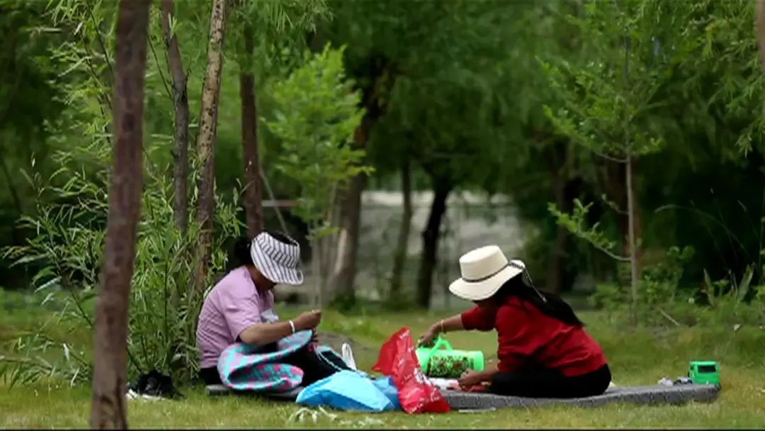 
首都医科大学附属北京朝阳医院黄牛代挂号电话票贩子号贩子网上预约挂号,住院检查加快,“沙棘奶奶”桑旦和众人栽下的深山树林！