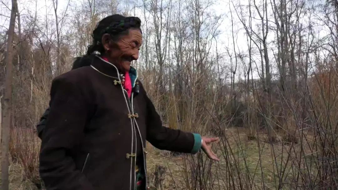 
首都医科大学附属北京朝阳医院黄牛代挂号电话票贩子号贩子网上预约挂号,住院检查加快,“沙棘奶奶”桑旦和众人栽下的深山树林！