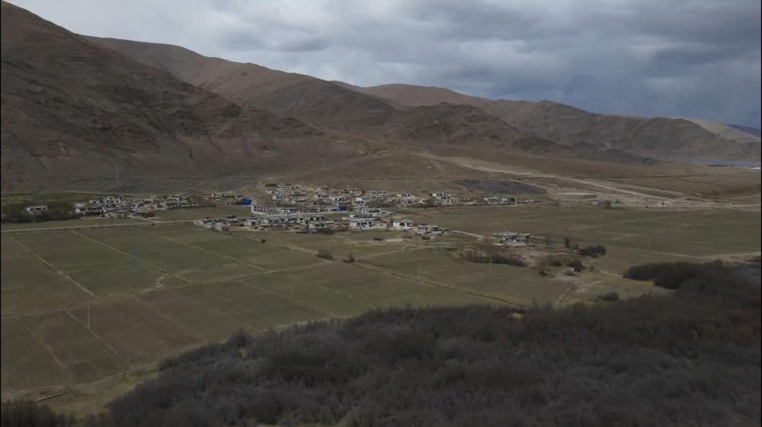 
首都医科大学附属北京朝阳医院黄牛代挂号电话票贩子号贩子网上预约挂号,住院检查加快,“沙棘奶奶”桑旦和众人栽下的深山树林！