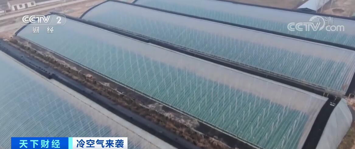 
北京广安门中医院黄牛代挂号电话票贩子号贩子网上预约挂号,住院检查加快,大棚西红柿新鲜上市 种植户增产增收