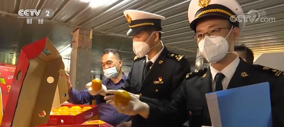 
上海眼耳鼻喉科医院黄牛代挂号电话票贩子号贩子网上预约挂号,住院检查加快,防城港沃柑首次出口新加坡 扩大农产品国际市场