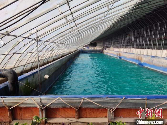 
首都医科大学附属北京同仁医院黄牛代挂号电话票贩子号贩子网上预约挂号,住院检查加快,沙中“生”果 探访新疆南部戈壁设施农业