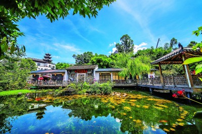 
北京朝阳医院黄牛代挂号电话票贩子号贩子网上预约挂号,住院检查加快,【大美中国】公园融城 美丽龙岗