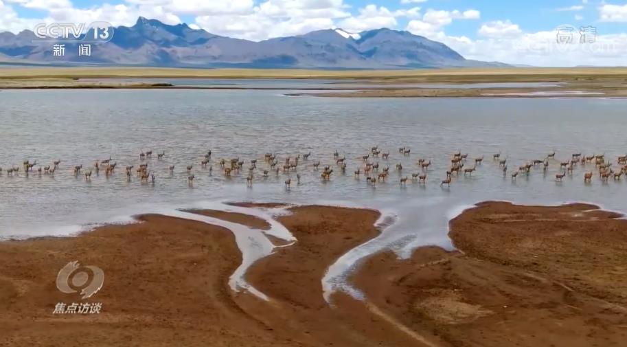 
代挂姜玉武的号黄牛代挂号电话票贩子号贩子网上预约挂号,住院检查加快,凝聚共识 守护地球家园