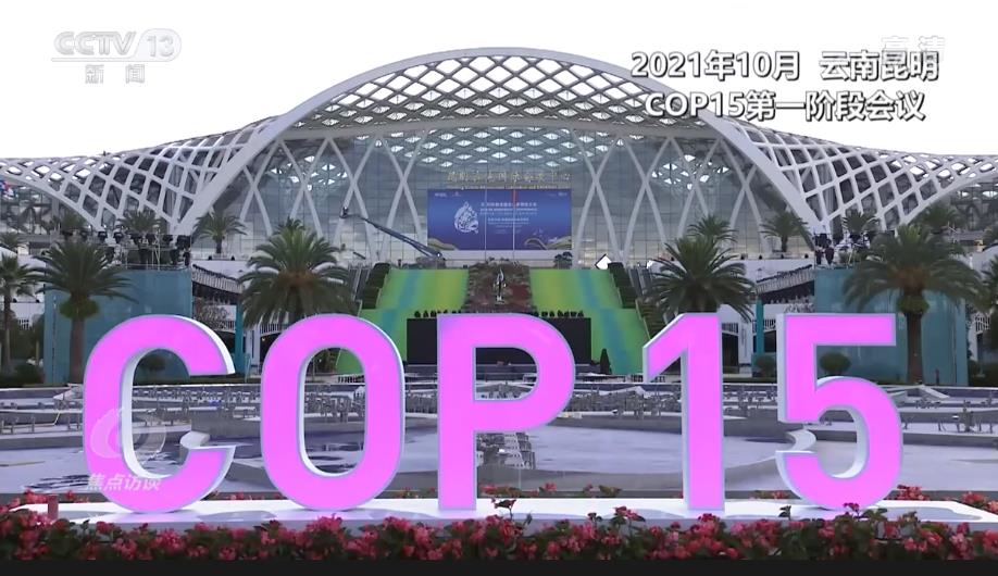 
代挂姜玉武的号黄牛代挂号电话票贩子号贩子网上预约挂号,住院检查加快,凝聚共识 守护地球家园