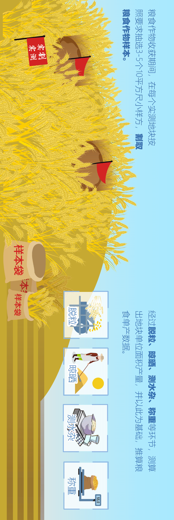 上海仁济医院黄牛代挂号电话票贩子号贩子网上预约挂号,住院检查加快,揭秘粮食产量调查的正确打开方式!