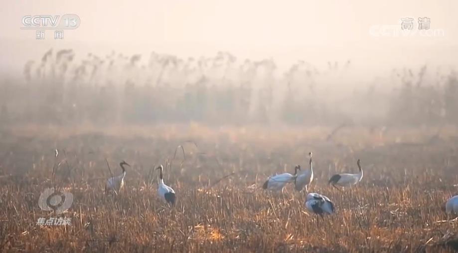 
代挂姜玉武的号黄牛代挂号电话票贩子号贩子网上预约挂号,住院检查加快,凝聚共识 守护地球家园