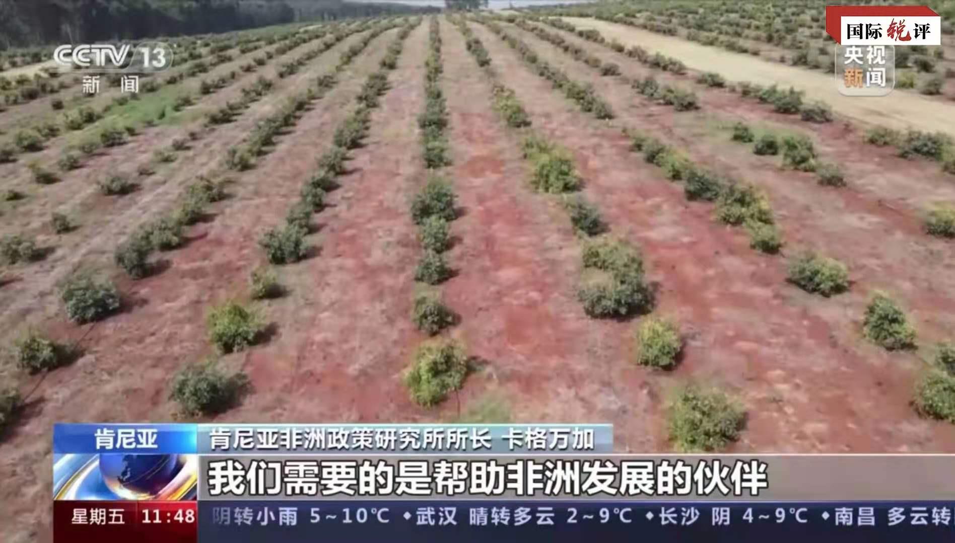 
杭州西溪医院黄牛代挂号电话票贩子号贩子网上预约挂号,住院检查加快,国际锐评丨时隔八年，美国这次对非洲的承诺能兑现吗？