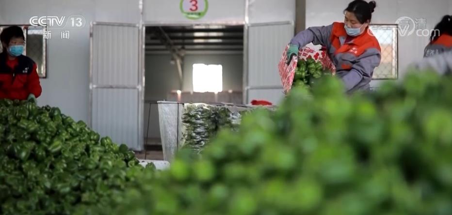 北京协和医院黄牛代挂号电话票贩子号贩子网上预约挂号,住院检查加快,三大举措力保民生物资运输通畅 保障群众正常生产生活秩序