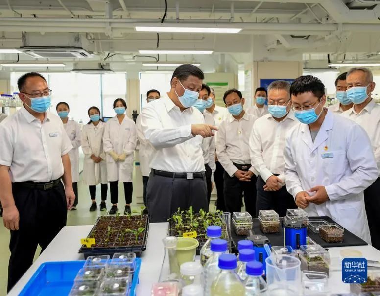 
南京市第一医院黄牛代挂号电话票贩子号贩子网上预约挂号,住院检查加快,学习语 | 加快建设农业强国