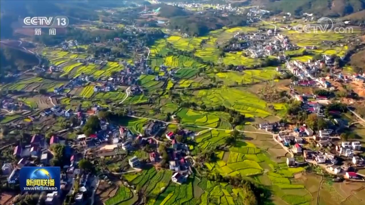 
北京301医院黄牛代挂号电话票贩子号贩子网上预约挂号,住院检查加快,铆足干劲 为加快建设农业强国而努力奋斗——习近平总书记在中央农村工作会议上的重要讲话引起各地干部群众热烈反响