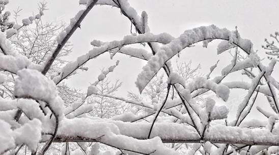 
南京各大医院黄牛代挂号电话票贩子号贩子网上预约挂号,住院检查加快,西南地区阴雨雪持续在线 元旦期间冷空气活跃