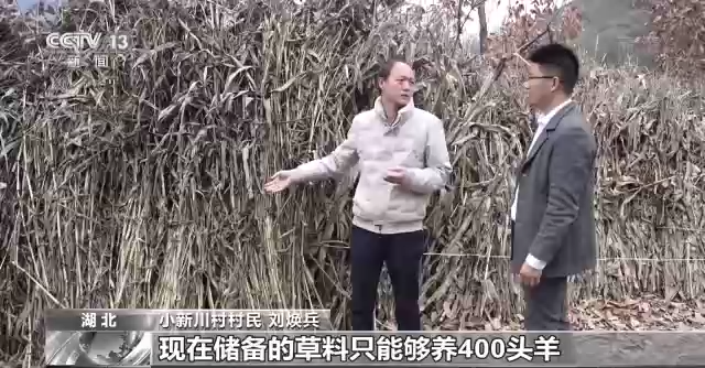 
上海肿瘤医院黄牛代挂号电话票贩子号贩子网上预约挂号,住院检查加快,新时代 新征程 新伟业丨小新川村的新活力