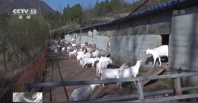 
上海肿瘤医院黄牛代挂号电话票贩子号贩子网上预约挂号,住院检查加快,新时代 新征程 新伟业丨小新川村的新活力