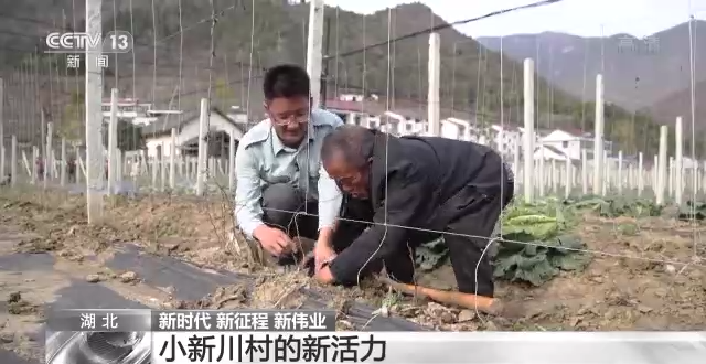 
上海肿瘤医院黄牛代挂号电话票贩子号贩子网上预约挂号,住院检查加快,新时代 新征程 新伟业丨小新川村的新活力