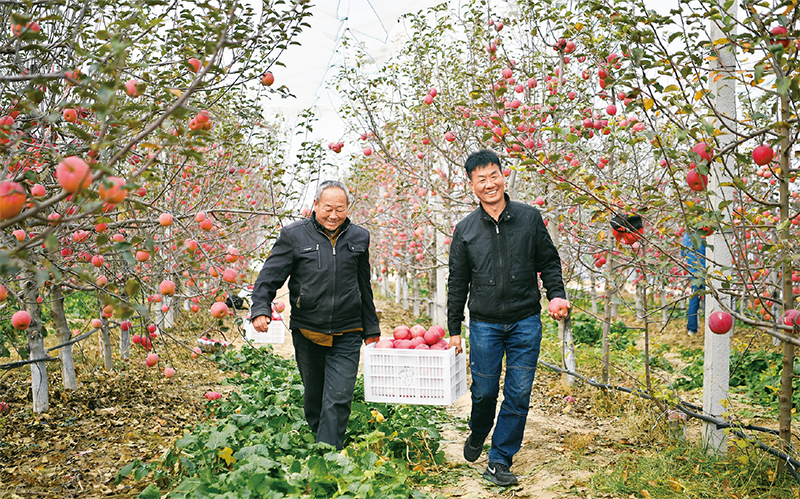 
杭州市儿童医院黄牛代挂号电话票贩子号贩子网上预约挂号,住院检查加快,走农业现代化新路