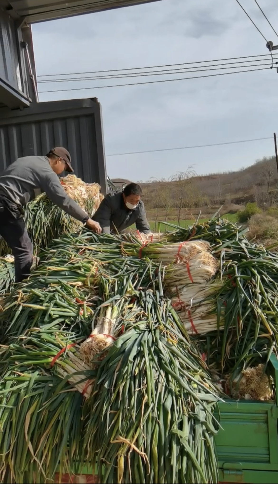 
天津各大医院黄牛代挂号电话票贩子号贩子网上预约挂号,住院检查加快,河南“大葱哥”50万斤大葱滞销，湖北：“鄂”来接货了！