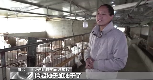 
上海肿瘤医院黄牛代挂号电话票贩子号贩子网上预约挂号,住院检查加快,新时代 新征程 新伟业丨小新川村的新活力