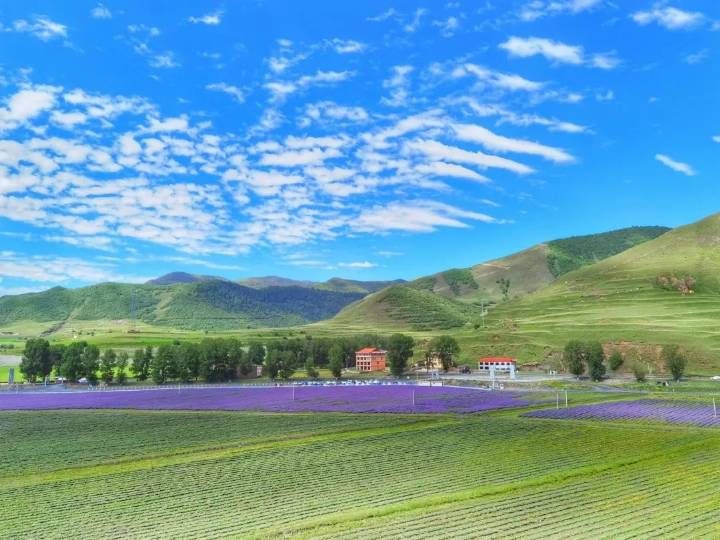 
广州口腔医院黄牛代挂号电话票贩子号贩子网上预约挂号,住院检查加快,疫情终将过去 青年大有可为