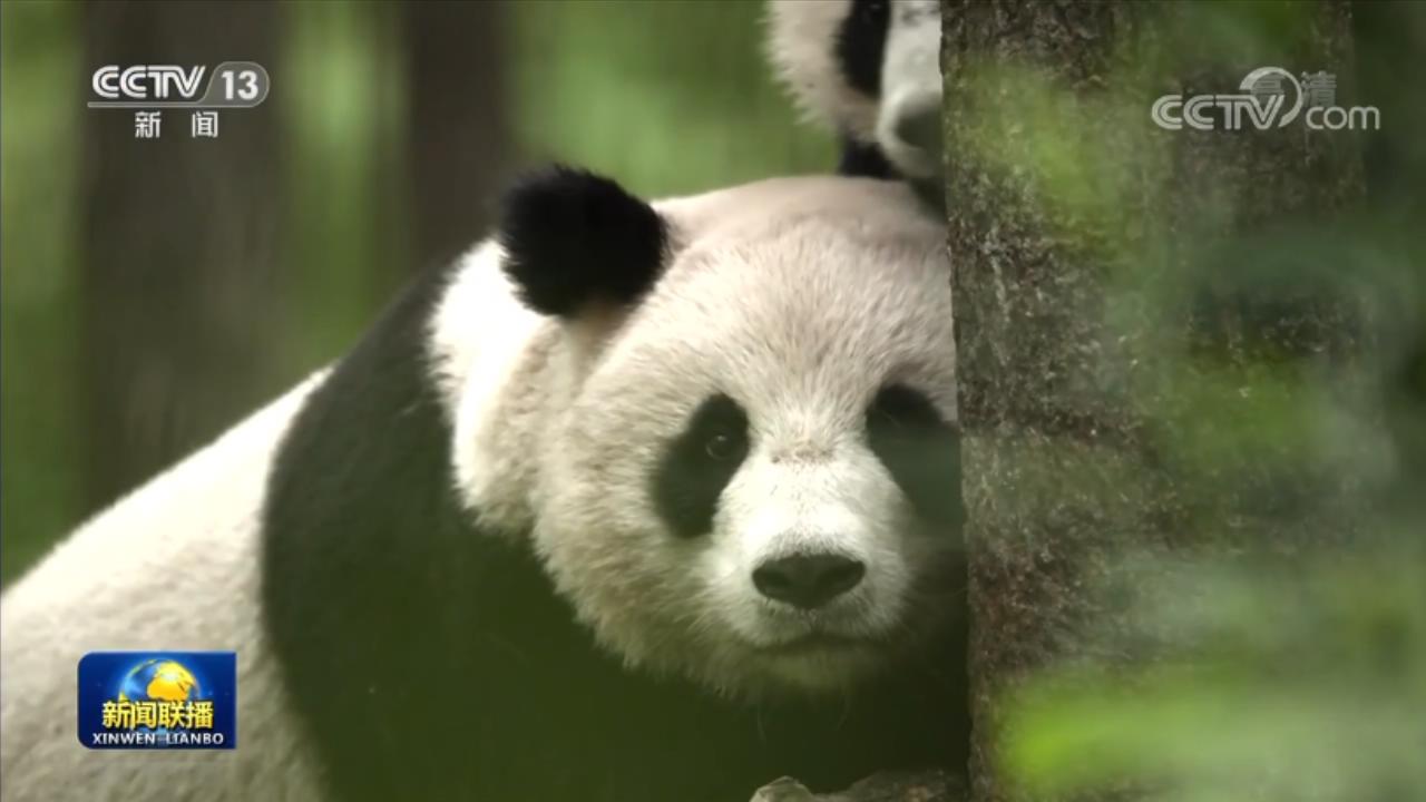 
广州市妇女儿童医疗中心黄牛代挂号电话票贩子号贩子网上预约挂号,住院检查加快,国家公园空间布局方案发布 遴选出49个国家公园候选区