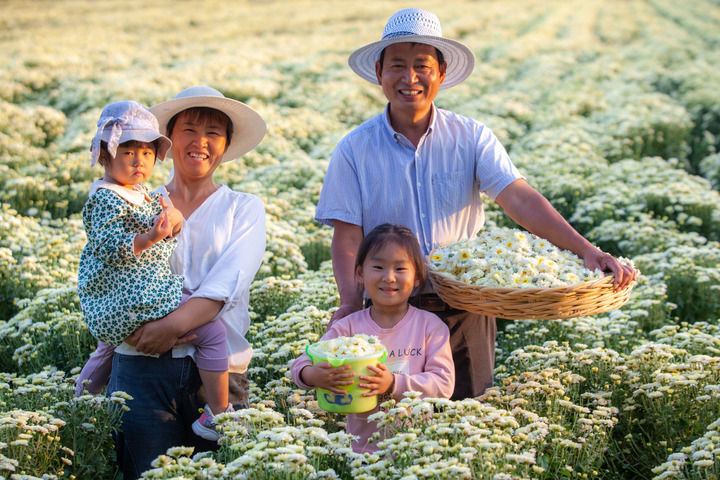 
杭州市第一人民医院黄牛代挂号电话票贩子号贩子网上预约挂号,住院检查加快,聆听2022｜这些声音让我们“破防”