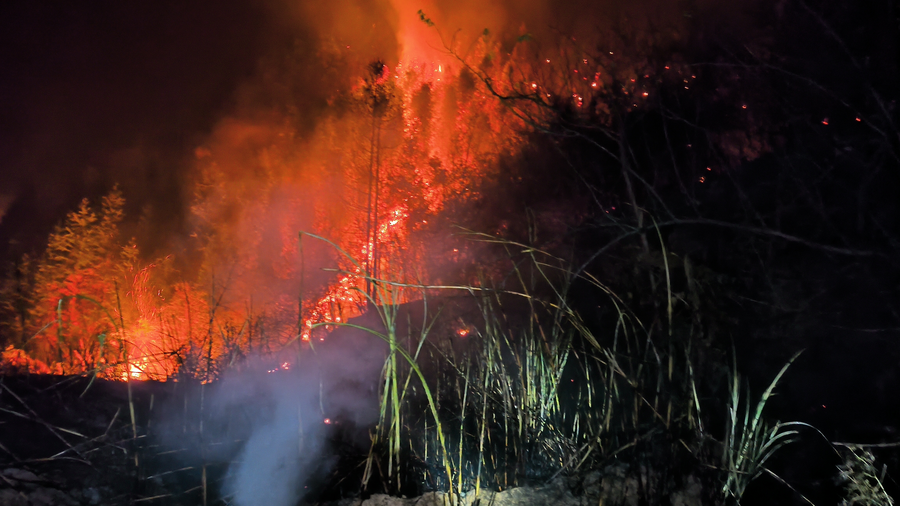 
杭州市第一人民医院黄牛代挂号电话票贩子号贩子网上预约挂号,住院检查加快,聆听2022｜这些声音让我们“破防”