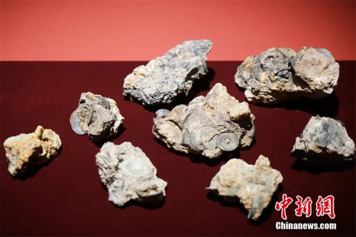 
中山大学孙逸仙纪念医院黄牛代挂号电话票贩子号贩子网上预约挂号,住院检查加快,东西问｜金泰万：“陶瓷之路”如何为韩中交往提供动力？