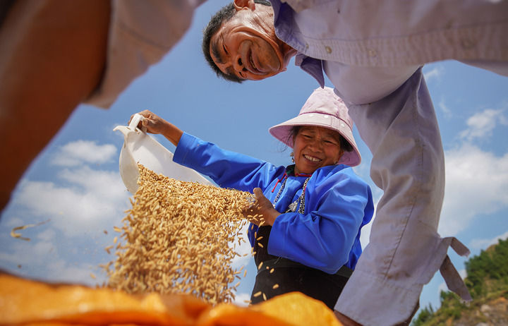 
杭州市第一人民医院黄牛代挂号电话票贩子号贩子网上预约挂号,住院检查加快,聆听2022｜这些声音让我们“破防”
