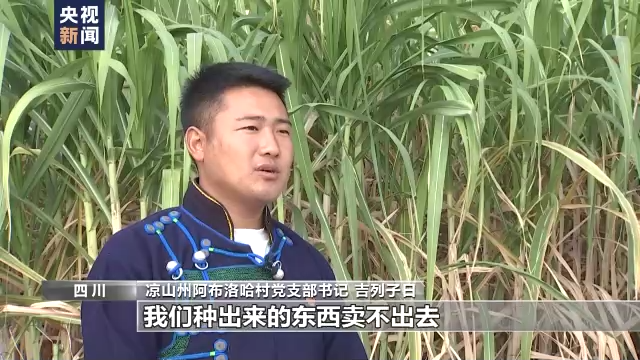 
浙江口腔医院黄牛代挂号电话票贩子号贩子网上预约挂号,住院检查加快,逐梦新程丨阿布洛哈村：大山深处的“幸福路”