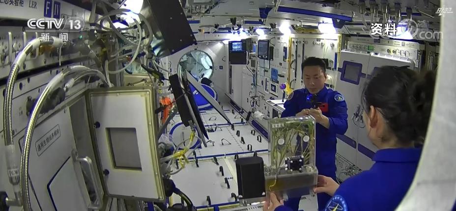 
浙江省人民医院黄牛代挂号电话票贩子号贩子网上预约挂号,住院检查加快,航天新征程｜硕果累累！科学家已发现返回水稻特殊现象