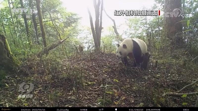 
南京市第一医院黄牛代挂号电话票贩子号贩子网上预约挂号,住院检查加快,焦点访谈：保护生物多样性 中国在行动