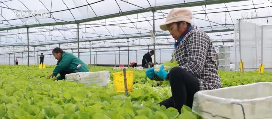 
南京各大医院黄牛代挂号电话票贩子号贩子网上预约挂号,住院检查加快,保供稳价 各地采取有力措施顺畅流通保供给