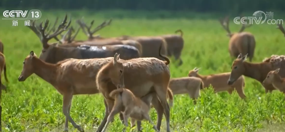 
广州儿童医院黄牛代挂号电话票贩子号贩子网上预约挂号,住院检查加快,联合国开发计划署署长施泰纳：中国为生物多样性保护作出积极贡献