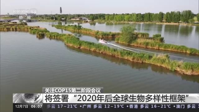 
浙江大学儿童医院黄牛代挂号电话票贩子号贩子网上预约挂号,住院检查加快,COP15第二阶段会议将取得哪些成果？专家解读→
