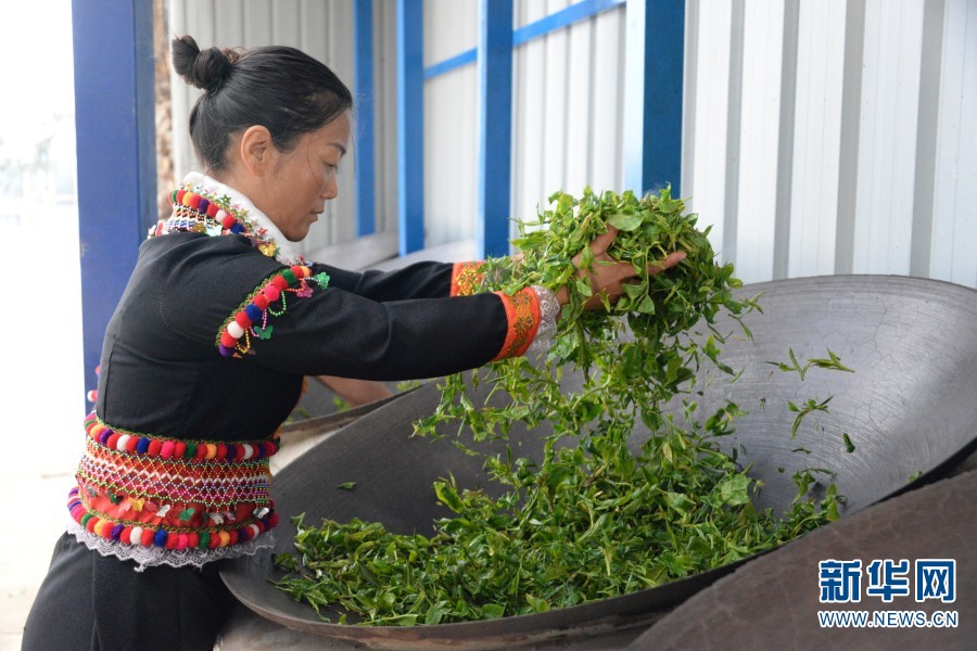 
南京市中医院黄牛代挂号电话票贩子号贩子网上预约挂号,住院检查加快,“中国茶”申遗成功！云南德昂族酸茶了解一下？